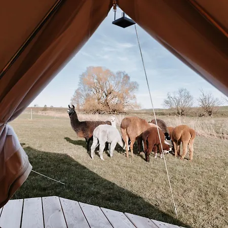 Boho Zelt Lebenshofalpakas Campo de lujo Ziemetshausen